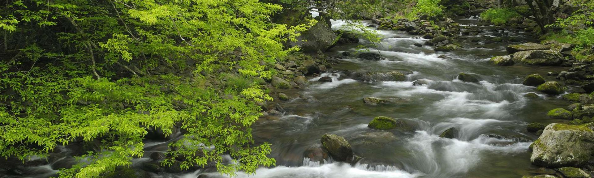 Nature River